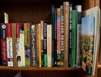 Shelf of travel guides, and tourism volumes
