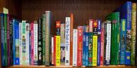 Shelf of travel guides to France
