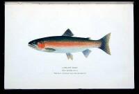 The Trout and Other Game Fishes of British Columbia