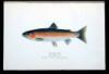 The Trout and Other Game Fishes of British Columbia