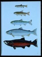 The Salmon