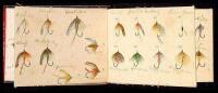 Folding linen-backed chart of 64 hand-colored flies