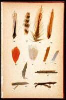 Fly-Fishing and Fly-Making for Trout, Bass, Salmon, Etc.