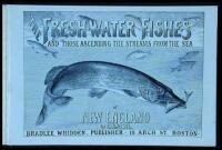 The Fresh Water Fishes of New England (And Those Ascending the Streams from the Sea)
