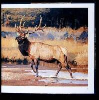 Bob Kuhn: Masters of the Wild