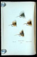 The Salmon and the Dry Fly
