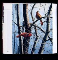 The Wildfowl Art of David Maass