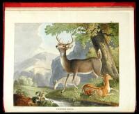 The Cabinet of Natural History and American Rural Sports