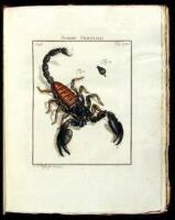 De natuurlyke historie der insecten; voorzien met naar 't leven getekende en gekoleurde plaaten. Volgens eigen ondervinding beschreeven, door den Heer August Johan R&ouml;sel, van Rosenhof, miniatuur-schilder. Met zeer nutte en fraaie aanmerkingen verrykt, doo