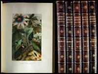 Animate Creation; Popular Edition of "Our Living World," a Natural History