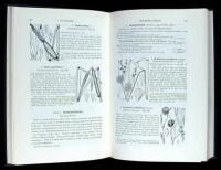 Illustrated Flora of the Pacific States: Washington, Oregon, and California
