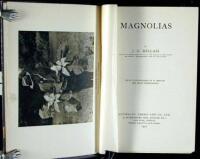 Magnolias