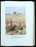 The Aloes of South Africa