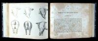 The Oxford Drawing Book, or the Art of Drawing, and the Theory and Practice of Perspective, in a Series of Letters Containing Progressive Information on Sketching, Drawing, and Colouring Landscape Scenery, Animals, and the Human Figure...
