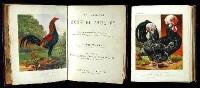 The Illustrated Book of Poultry. With Practical Schedules for Judging, Constructed from Actual Analysis of the Best Modern Decisions