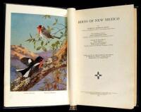 Birds of New Mexico