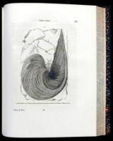 Geology of New York. Part III, Comprising the Survey of the Third Geological District