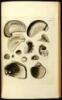 Petrificata Suecana Formationis Cretaceæ, Descripta et Iconibus Illustrata... Pars Prior, Vertebrata et Mollusca Sistens