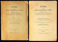 Flora of Syria, Palestine and Sinai: A Handbook of the Flowering Plants and Ferns, Native and Naturalized, from the Taurus to Ras Muhammad and from the Mediterranean Sea to the Syrian Desert