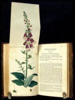 Flora Medica: Containing Coloured Delineations of the Various Medicinal Plants Admitted into the London, Edinburgh, and Dublin Pharmacopœias; With Their Natural History, Botanical Descriptions, Medical and Chemical Properties, &c...Together with a Concise