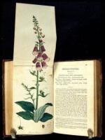 Flora Medica: Containing Coloured Delineations of the Various Medicinal Plants Admitted into the London, Edinburgh, and Dublin Pharmacop&oelig;ias; With Their Natural History, Botanical Descriptions, Medical and Chemical Properties, &c...Together with a Concise