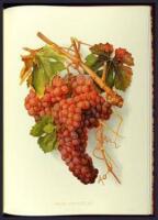 Grapes and Grape Vines of California: A Facsimile of the Original Edition of 1877