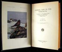 Animal Life in the Yosemite: An Account of the Mammals, Birds, Reptiles, and Amphibians in a Cross-Section of the Sierra Nevada