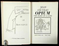 Opium: The Diary of a Cure