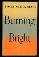 Burning Bright: A Play in Story Form