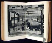 Annual Report of the Board of Regents of the Smithsonian Institution, showing the Operations, Expenditures, and Condition of the Institution for the Year Ending June 30, 1887. Part II