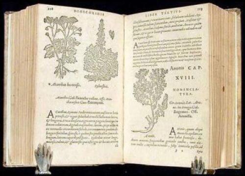 De medicinali materia libri sex