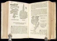 De medicinali materia libri sex