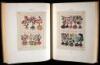 The Badianus Manuscript (Codex Barberini, Latin 241) Vatican Library. An Aztec Herbal of 1552