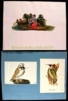 Lot of Six Hand-Colored Prints