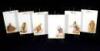 Six Hand-Painted Alice in Wonderland Porcelain Plaques