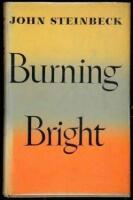Burning Bright: A Play in Story Form