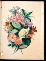 Wild Flowers Drawn and Colored From Nature