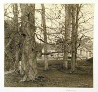 Original silver photograph of a country house in France, with bare trees in the foreground