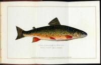 Brook Trout Fishing. An Account of a Trip of the Oguossac Angling Association in Northern Maine, in June, 1869