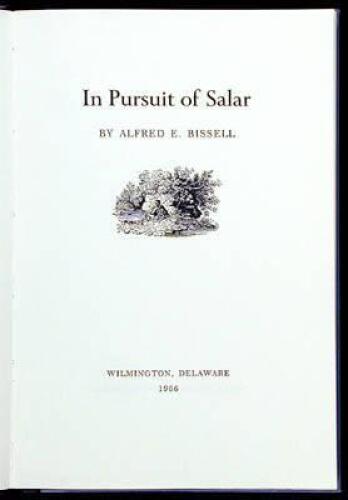 In Pursuit of Salar
