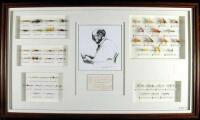 Framed Set of 46 Flies