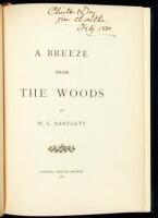 A Breeze From the Woods
