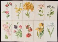 100 color lithographed botanical plates