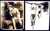 Two vintage photographic stills from Tarzan movies