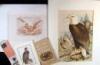 Collection of early American documents and related items with images of eagles on them