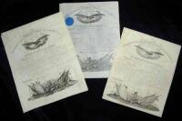 Isaac Ingalls and Hazard Stevens Archive
