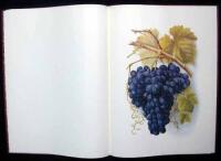 Grapes and Grape Vines of California