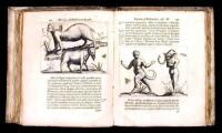 De Monstris. Ex recensione Gerardi Blassi, M.D. & P.P. Qui Monstra qu&aelig;dam nova & rariora ex recentiorum scriptis addidit...