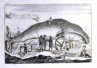 Lot of four copper engravings depicting whales and whaling