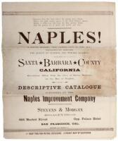 Naples! A Poetic Realm! The Coming City By the Sea! Ordained by Nature the Queen of Summer and Winter Resorts!...Descriptive Catalogue Published by the Naples Improvement Company